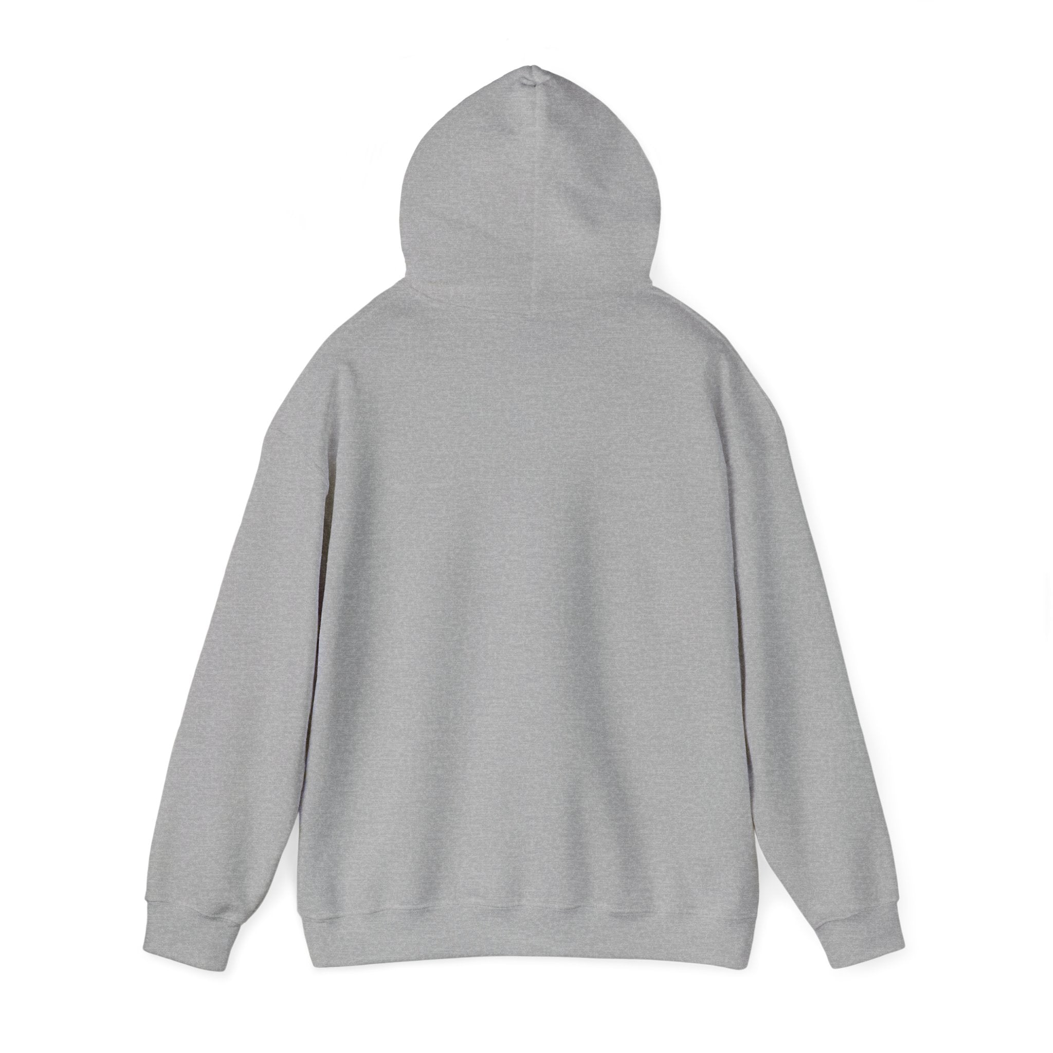 Ambitious Vibes Hooded Sweatshirt