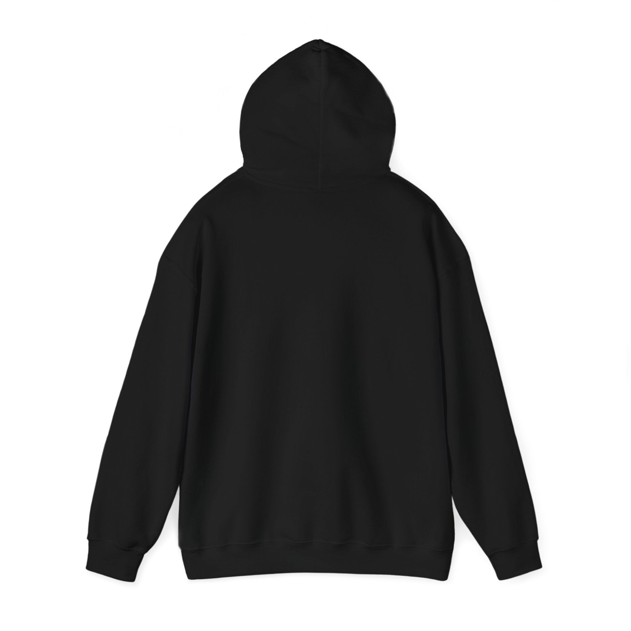 Ambitious Vibes Hooded Sweatshirt